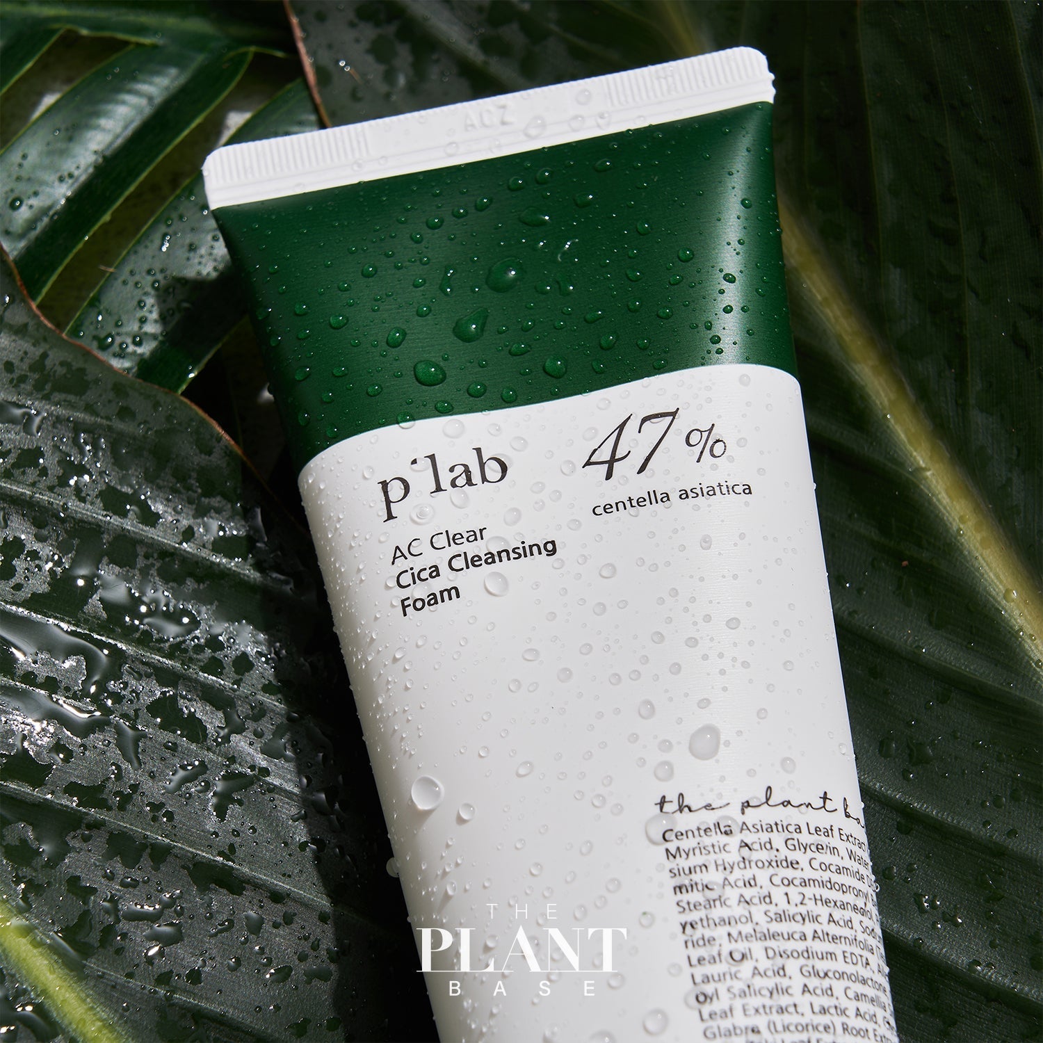 PLANT BASE AC Clear Cica Cleansing Foam 120ml