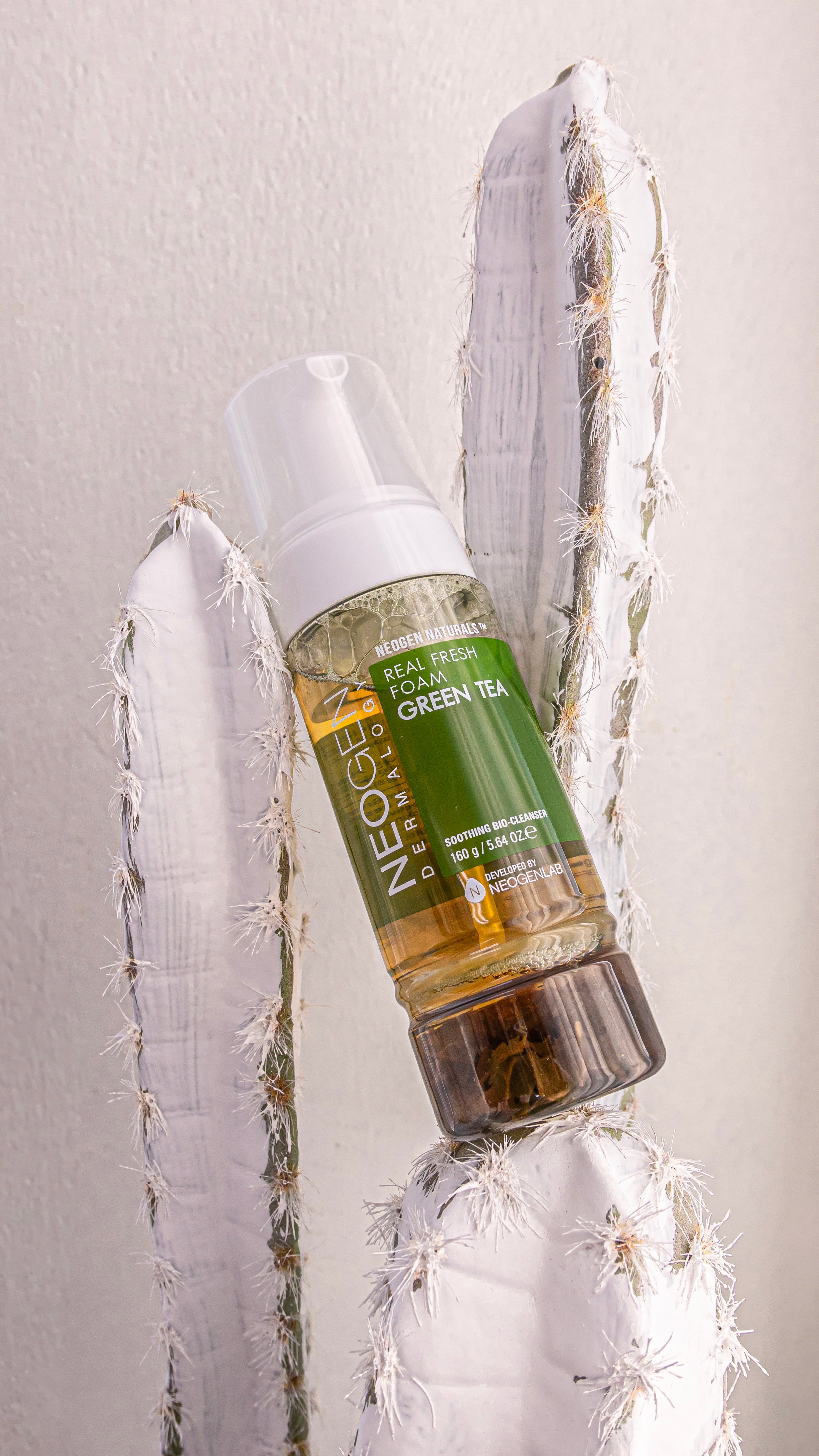 NEOGEN Dermalogy Real Fresh Foam Green Tea 160g