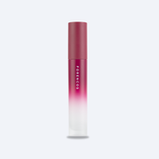 FORENCOS All Light Mood Velvet Tint 09 Chouette