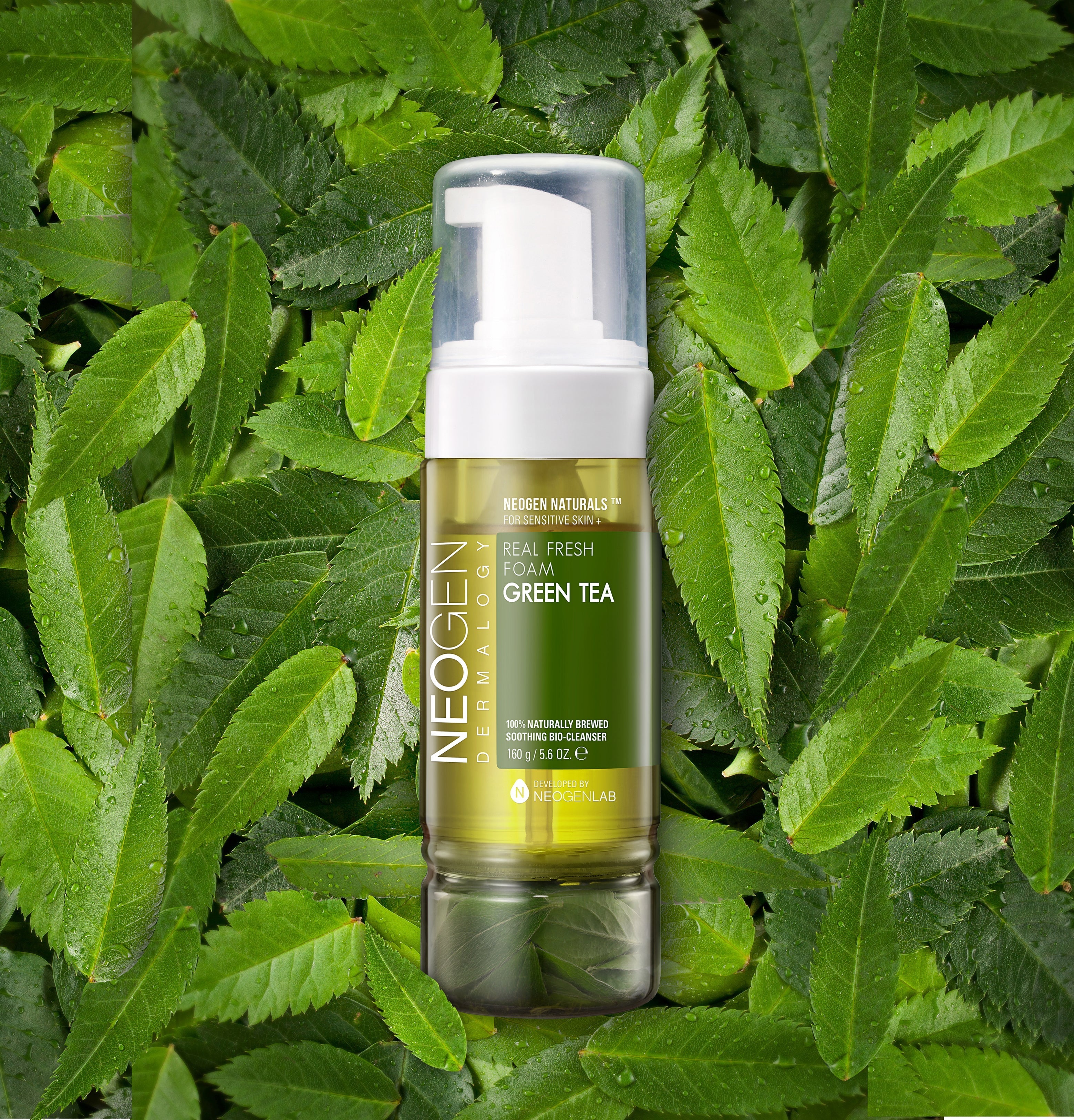 NEOGEN Dermalogy Real Fresh Foam Green Tea 160g